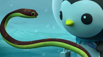 Die Oktonauten Die Oktonauten und die Gelbbauch-Seeschlangen