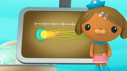 Das Okto-Lied Die gelbe Haarqualle