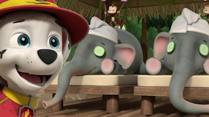 PAW Patrol - Helfer auf vier Pfoten Der Reisende Reinhard im Dschungel