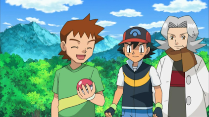 Pokémon: DP Sieger der Sinnoh-Liga Die Kunst des Beobachtens!