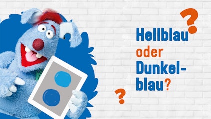 Frag Woozle! - Die Antworten Mag Woozle lieber Hellblau oder Dunkelblau?