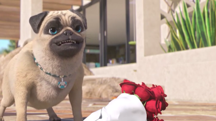 Mighty Mops Viktorias Tricks