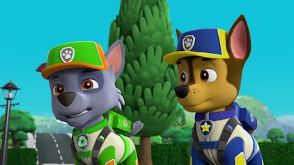 PAW Patrol - Helfer auf vier Pfoten Die Goldknochen