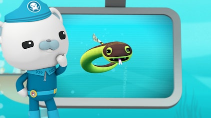 Das Okto-Lied Lied: Gelbbauch-Seeschlangen