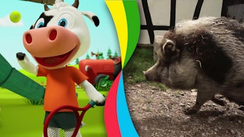 Toggolino - Die Show mit Muhpidu! Toggolino und die Schweine