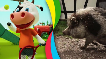 Toggolino - Die Show mit Muhpidu! Toggolino und die Schweine