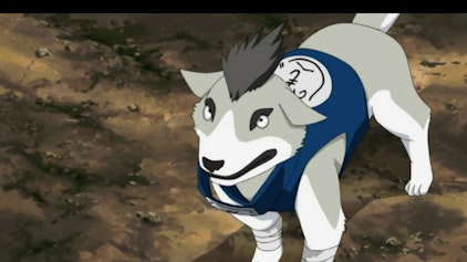 Naruto Shippuden In letzter Sekunde