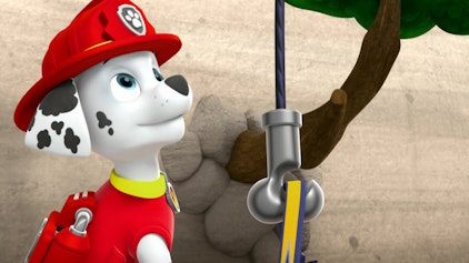 PAW Patrol - Helfer auf vier Pfoten Der Adler-Notfall