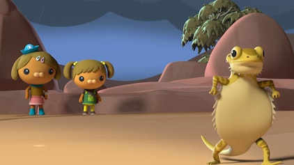 Die Oktonauten auf dem Festland Das australische Outback