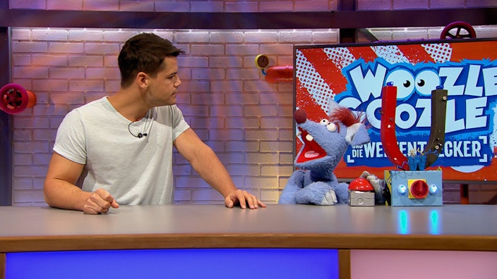 Woozle Goozle und die Weltentdecker Metall Teil 1