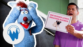 Der blaue Hund