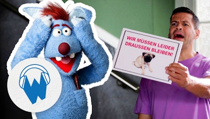 Der blaue Hund