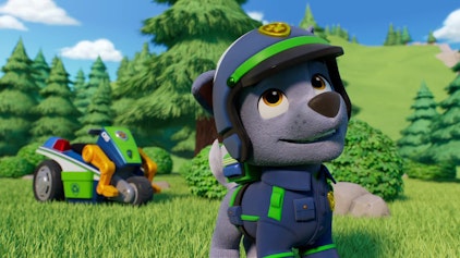 PAW Patrol - Helfer auf vier Pfoten Das Mitbring-Picknick