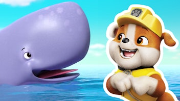 PAW Patrol - Helfer auf vier Pfoten Künstler in Not