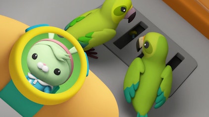 Die Oktonauten auf dem Festland Die Bergpapageien