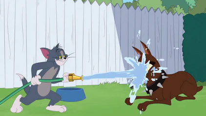 Die Tom und Jerry Show Der unsichtbare Tom