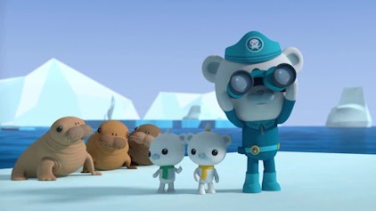 Die Oktonauten Die Oktonauten und die Walrossbabys