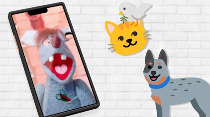 Woozle Shorts Haustiere