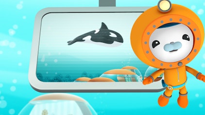 Das Okto-Lied Die Orcas