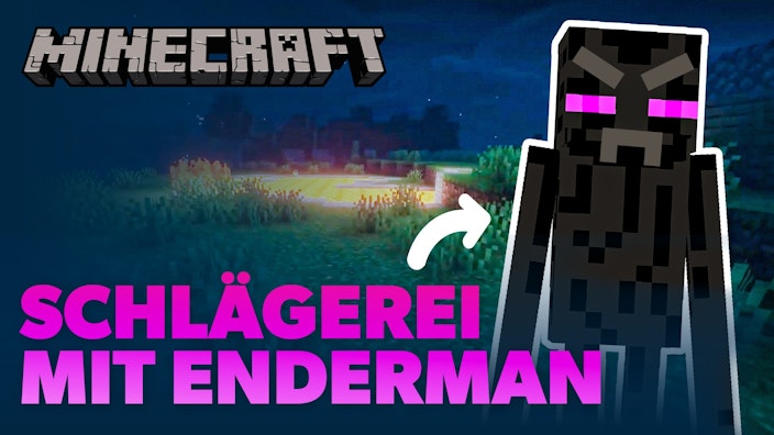 Minecraft Enderman dreht ja mal völlig durch | Minecraft Folge 1