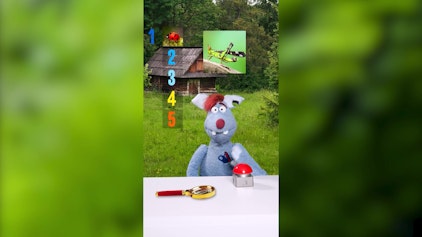 Woozle Shorts Die besten Insekten