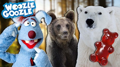 Woozle Goozle Bären