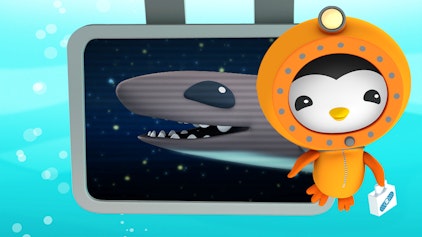 Das Okto-Lied Der Zwerg-Laternenhai