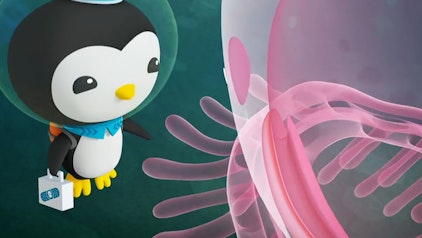 Die Oktonauten Die Oktonauten und die Kammqualle