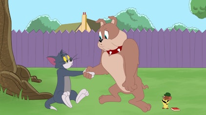 Die Tom und Jerry Show Zügle deinen Zorn