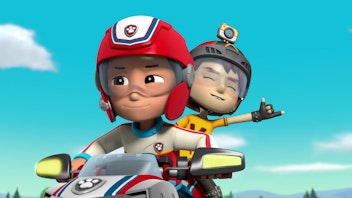PAW Patrol - Helfer auf vier Pfoten Die Grauhörnchen