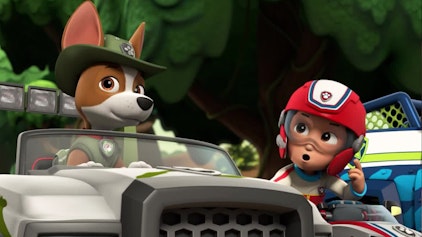 PAW Patrol - Kurze Clips Die versunkene Goldmine
