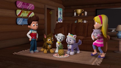 PAW Patrol - Helfer auf vier Pfoten Katzi hat sich verirrt