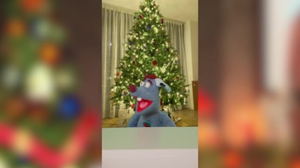 Woozle Shorts Geschenke verschenken