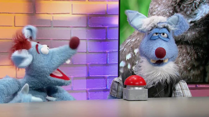 Woozle Goozle Spektakuläre Berufe & LKW