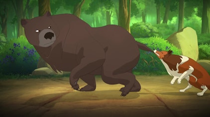 Lassie Blaubeerkuchen-Wettbewerb, Der