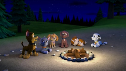 PAW Patrol - Helfer auf vier Pfoten Jake in der Klemme