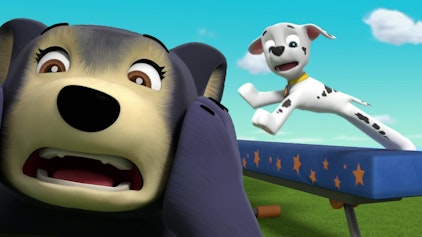 PAW Patrol - Helfer auf vier Pfoten Die Tollpatschs im Wettstreit