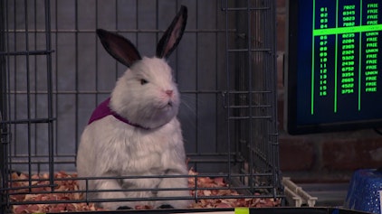 Die Thundermans Ein seltsamer Assistent