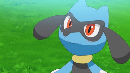 Pokémon Reisen: Die Serie / 23 Ein Wiedersehen beim Festival!