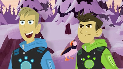 Go Wild! - Mission Wildnis Tierische Weihnachten - Teil 2