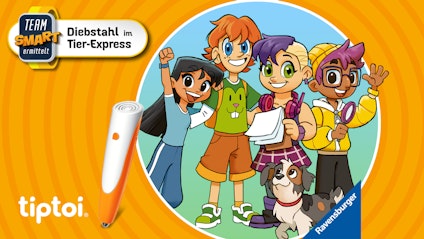 undefined Team SMART ermittelt