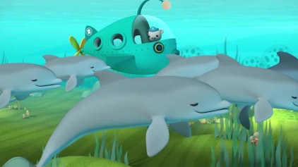 Die Oktonauten Die Oktonauten und die Spinnerdelfine