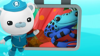 Das Okto-Lied Lied: Baumsteigerfrösche