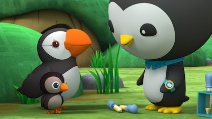 Die Oktonauten auf dem Festland Die Papageitaucher