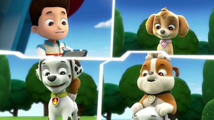 PAW Patrol - Helfer auf vier Pfoten Was für ein Zirkus