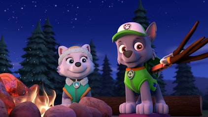 PAW Patrol - Helfer auf vier Pfoten Das Lagerfeuerkonzert