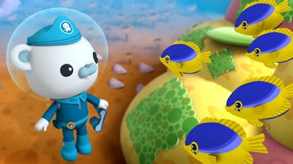 Die Oktonauten Die Oktonauten und die Riffbarsche