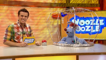 Woozle Goozle Katzen & Gefühle