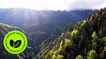 GEOLINO TV - Kurze Clips 16: Wie Bäume kommunizieren