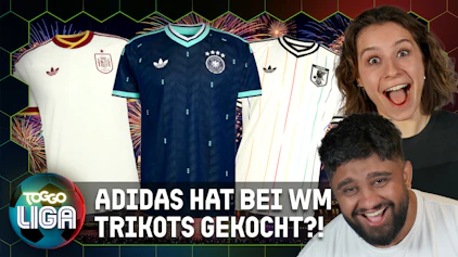 TOGGO Liga Die BESTEN WM Auswärtstrikots Tierlist